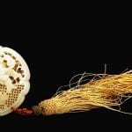 jade, malaquite, cor jade, jade roxo, Iolite, lapis lazuli, olho de tigre, espinel, sugilite, peridot, rodonite, hematite, restaurante jade, granada, nefrite, ônix, sardonyx, jaspe, jade nó, jade energia, html para jade, jade modelo, jade quadro, jade cor, jade mineral, jade cor, jade cor, jade cor, jade mineral, paz, relaxamento, meditação, jade, feng shui, leste, colares jade, jade produtos, significando D, jade pedras, jazpe cor, cor com jaspe