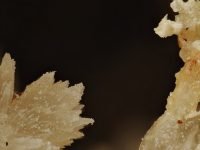 significado das Pedra Estroncianita