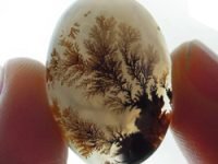 Ágata de Renda Azul, Ágata Musgo, Ágata Fogo, Ágata Dendrite, Ágata de Renda Louca