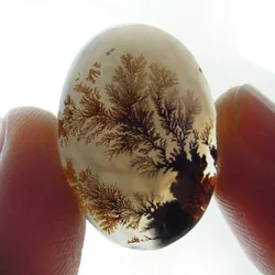 Ăgata de Renda Azul, Ăgata Musgo, Ăgata Fogo, Ăgata Dendrite, Ăgata de Renda Louca