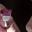 O rubi do sangue do pombo