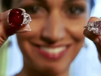 O rubi do sangue do pombo