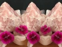 Significado do QUARTZO ROSA: Propriedades, Benefícios, para que Serve e Como Usar Quartzo, pedra Quartzo, Quartzo branco